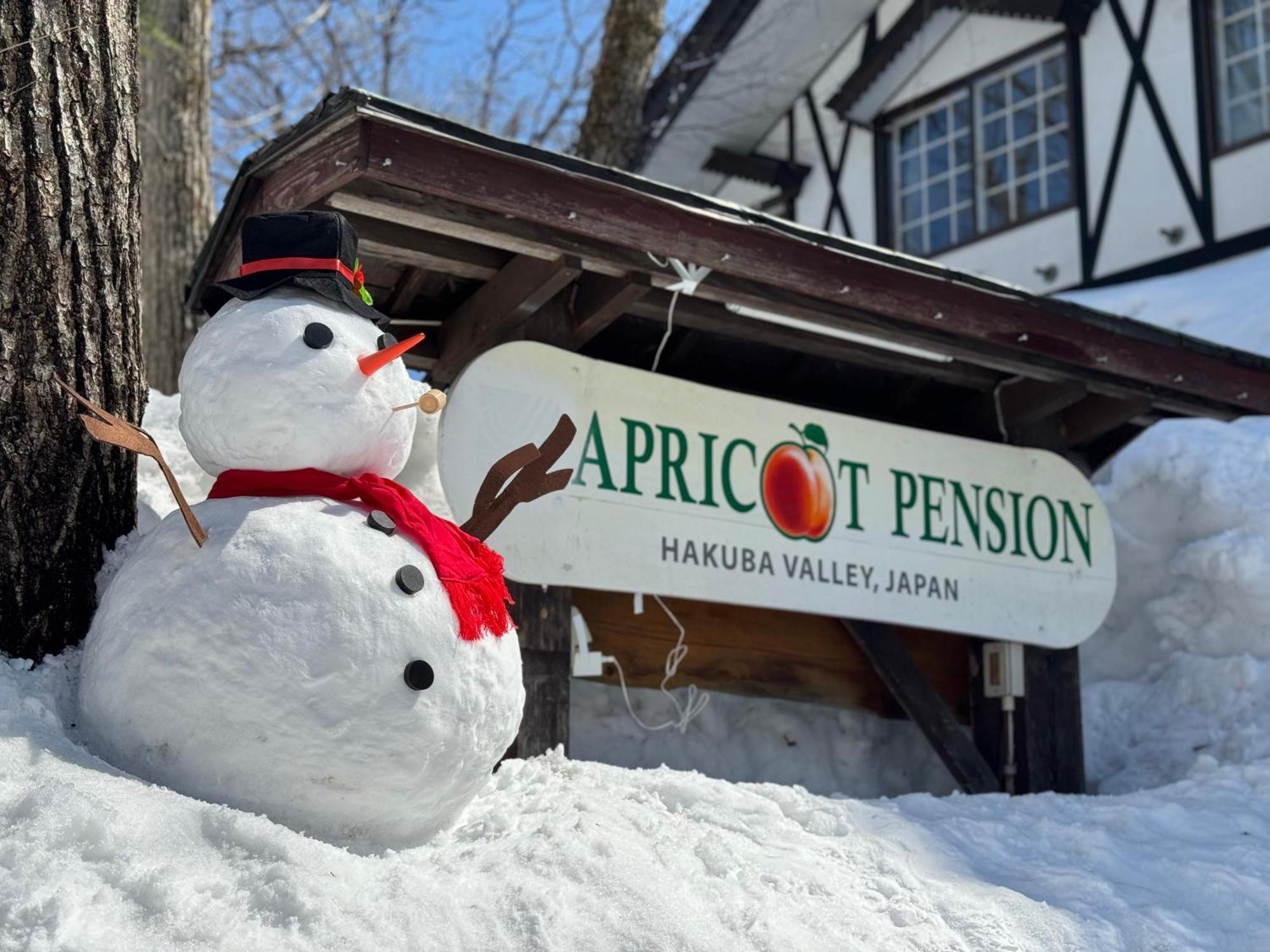 Apricot Pension Hakuba Exterior photo