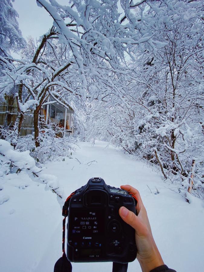 Apricot Pension Hakuba Exterior photo