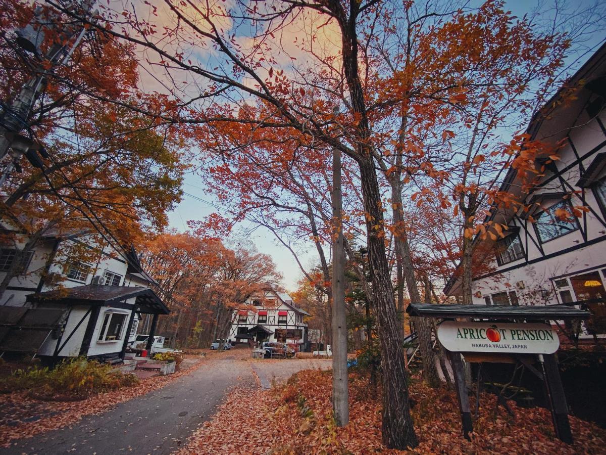 Apricot Pension Hakuba Exterior photo